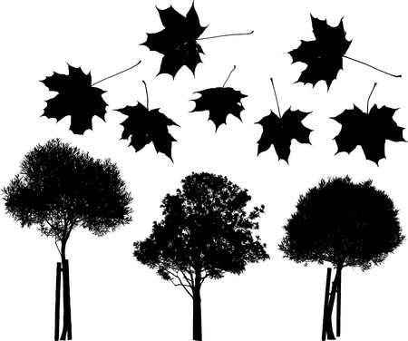 Set of trees and maple leaves silhouettesのイラスト素材