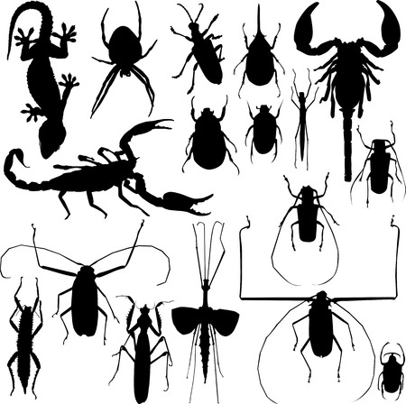 Set of Insect, lizard, spider silhouettes vectorのイラスト素材