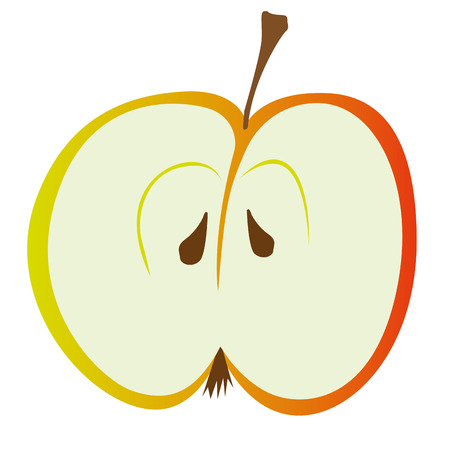 Slice of half Red apple. Vector illustrationのイラスト素材