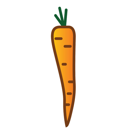 Carrot linear thin line illustration iconの写真素材