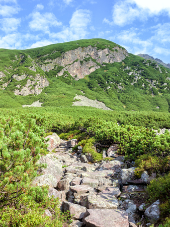 Picturesque Tourist hiking trail in the Polish Tatra Mountains. Sunny summer dayの写真素材