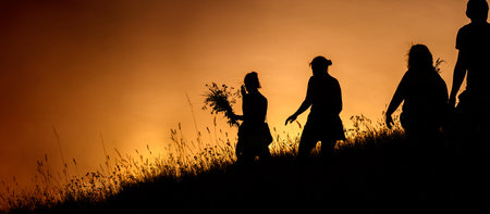 Silhouettes of People picking flowers during midsummer solticeの写真素材