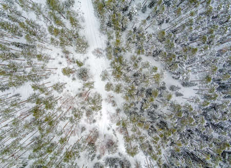 Aerial view of snow covered forest with road