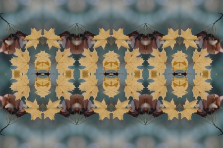 Symmetry & Harmony patterns.  Autumn leafs pattern.