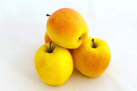 Apple fruit yellowの写真素材