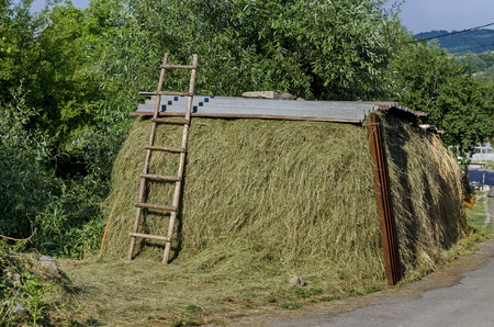 Covered haystack and wood step-ladder in Jeleznitsa village, near Sofiaの写真素材