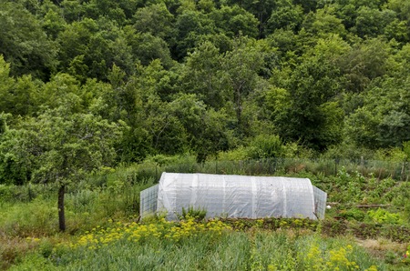 Greenhouse in yard of monastery "Sv. Sv. Cosmas and Damian"のeditorial素材