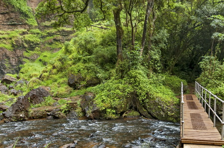 Scenic bridge below Lone creek waterfallの写真素材