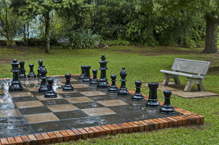 Garden Chess Sets wth water drops after rainy night in Sabieのeditorial素材