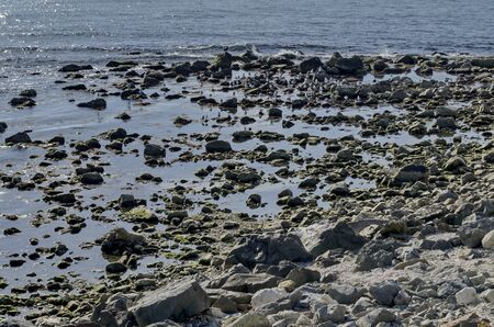 Life by seashore in Black sea Nessebarの写真素材