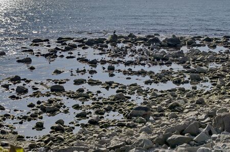 Life by seashore in Black sea Nessebarの写真素材