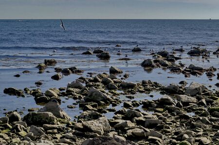 Life by seashore in Black sea Nessebarの写真素材