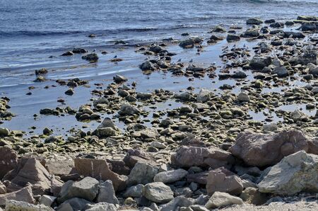 Life by seashore in Black sea Nessebarの写真素材