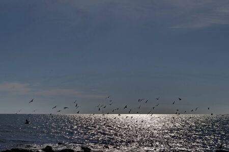 Life by seashore in Black sea Nessebarの写真素材