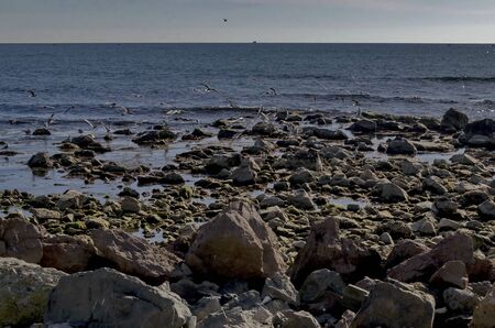 Life by seashore in Black sea Nessebarの写真素材