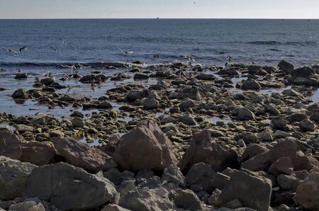 Life by seashore in Black sea Nessebarの写真素材