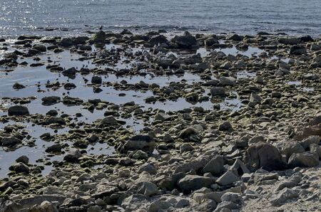 Landscape of Black sea coast  by Nessebarの写真素材