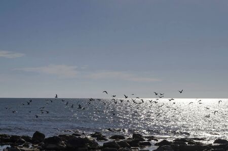 Life by seashore in Black sea Nessebarの写真素材