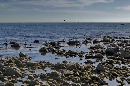 Life by seashore in Black sea Nessebarの写真素材