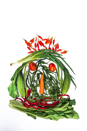 Fresh vegetables in the form of faces with a white background. Chili, eggplant, carrots, tomatoes, cucumberの写真素材