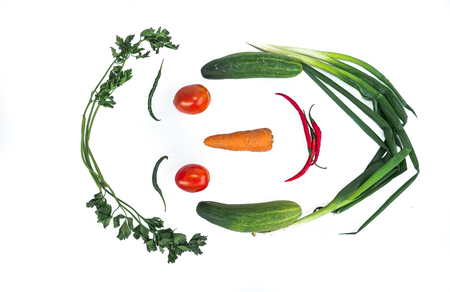 Fresh vegetables in the form of faces with a white background. Chili, eggplant, carrots, tomatoes, cucumberの写真素材