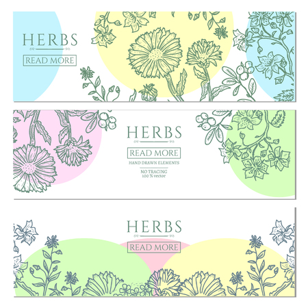 Medical herbs vintage template hand drawn sketch vector illustrationのイラスト素材