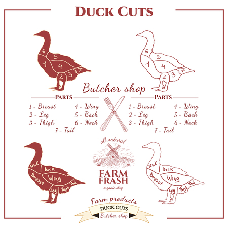 Duck cutsのイラスト素材