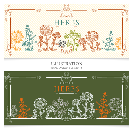 Medical herbs banners natural cosmetics on plantsのイラスト素材