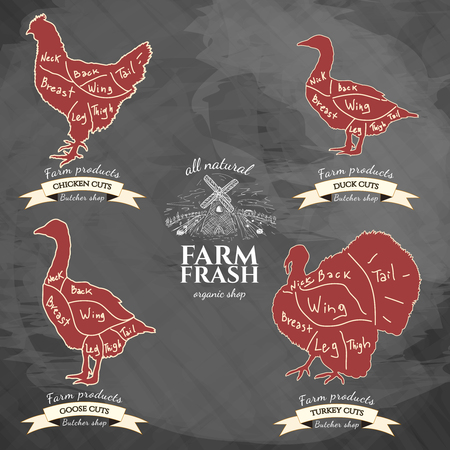Butcher shop meat store butchery market meat chicken, turkey, goose, duck vectorのイラスト素材