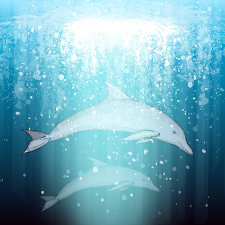 Two beautiful dolphin swim underwater vectorのイラスト素材