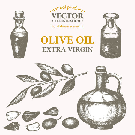 Olive oil hand drawn set vector olive sketch collectionのイラスト素材