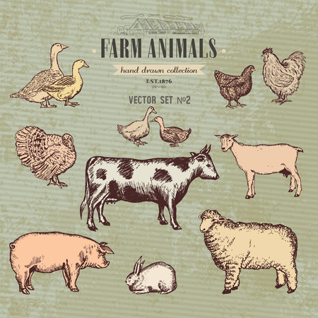 Farm animals vintage collection, cow, pig, goat, sheep, chicken, duck, goose, turkey rabbit hand drawn farm animals vectorのイラスト素材