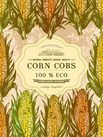 Corn cobs vector posterのイラスト素材