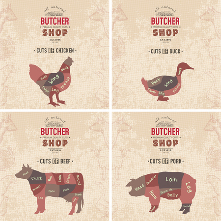 Cuts of beef, pork, chicken, duck. Butcher shop retro poster scheme and diagram - beef, pork, chicken, duck. Vintage hand drawn vector Illustrationのイラスト素材