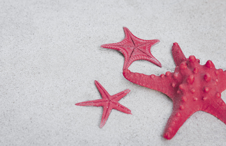 Red Sea Stars on the sand. Summer beach background in Thailandの写真素材