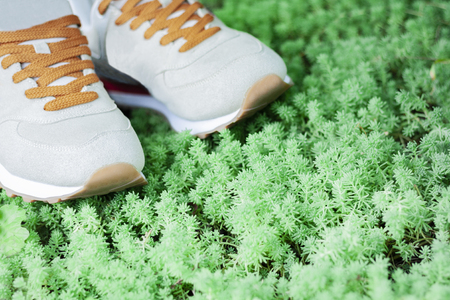 Sneakers of gray suede on the lawn in the parkの写真素材