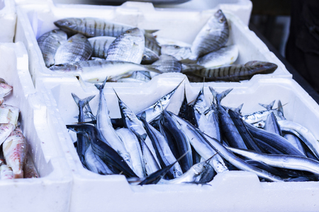 Fresh fish in market of Catania, Sicily, Italyの写真素材