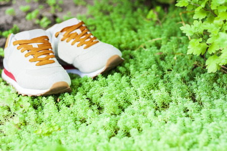 Sport shoes of gray on the lawn in the parkの写真素材