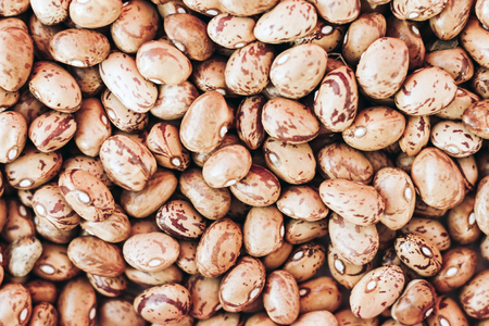 Beans background (Phaseolus) - food for veggies.