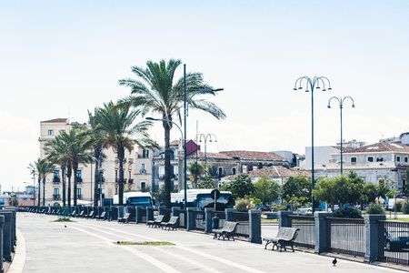 Palm tree alley with metal benches in Catania, Sicily, Southern Italyの写真素材