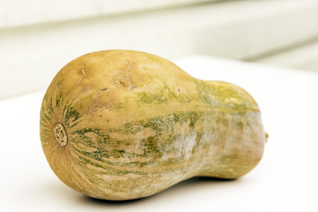 Ripe orange pumpkin on a white backgroundの写真素材