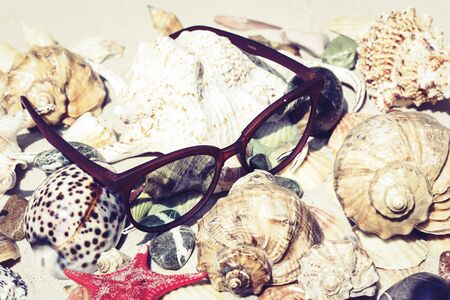 Sunglasses, seashells, sea stars, coral and stones on the sand, summer beach background travel concept with copy space for textの写真素材