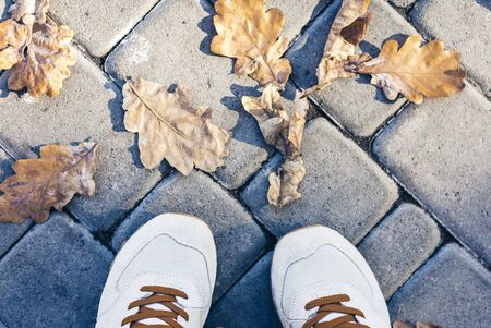 sport shoes sneakers on the background of dry yellow leaves on the sidewalk in autumn fall on a sunny dayの写真素材