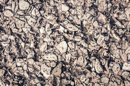 stone texture of an old sidewalk made of small pieces of granite