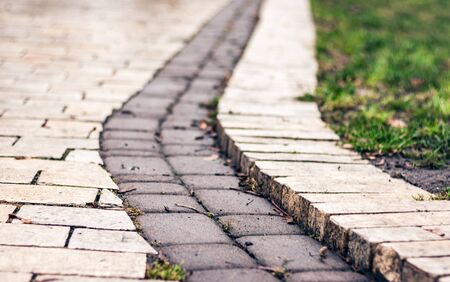 paving stones, pavement road in the park with green grass lawn after rain
