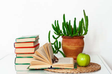 Cozy home interior decor: stack of books, plants in pots, open book and green apple on a wicker stand, pillows on a white table. Distance home education.Quarantine concept of stay homeの写真素材