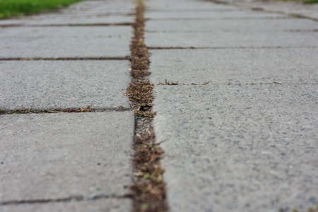 gray concrete slabs - walkway in the park close up backgroundの写真素材