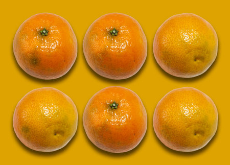 Fresh whole mandarin orange background (Citrus reticulata), clean tangerine on yellow background with copy space for text, healthy vegetarian diet top viewの写真素材