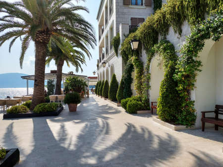 promenade street on seafront of Porto Montenegro, the famous port in the city of Tivat, the capital of Montenegro, Europeの写真素材