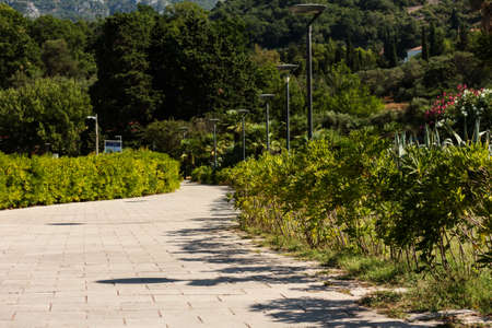 path in the park near island Sveti-Stefan, Budva in Montenegro, Europe, Adriatic Sea and mountainsの写真素材